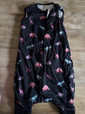 Kyte Baby Dinosaur Sleep Bag Walker